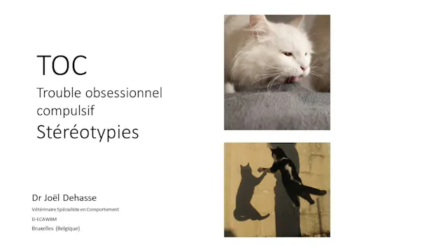 37 psy stéréotypie et TOC