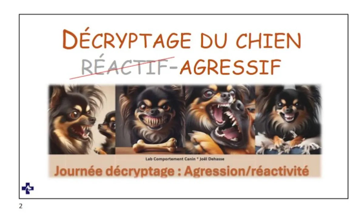Agression-décryptage (2025)