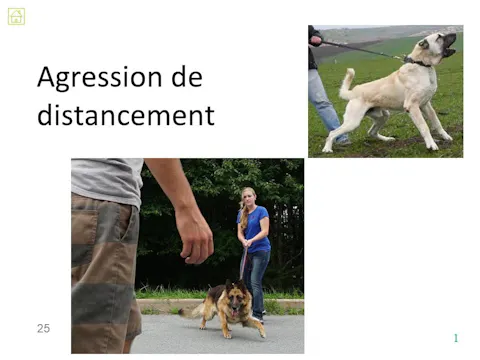 FCCC4.12 - Agression de distancement
