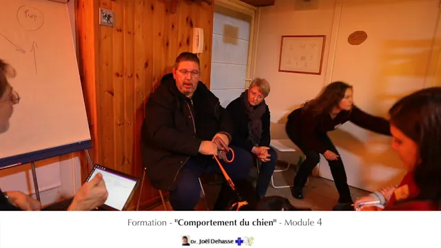 fccc4.03 Consultation