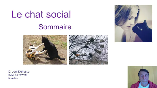10 social sommaire