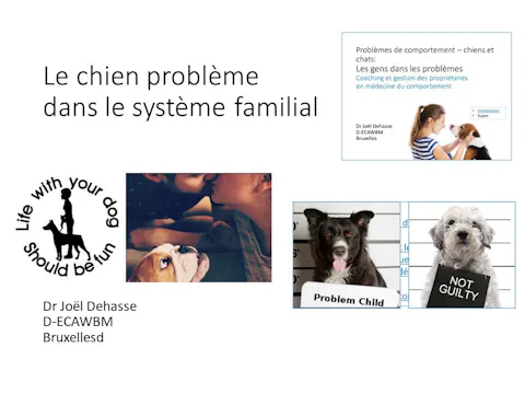 FCCC-3.17-Le chien problème dans le système familial