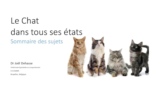 01 Chat.sommaire