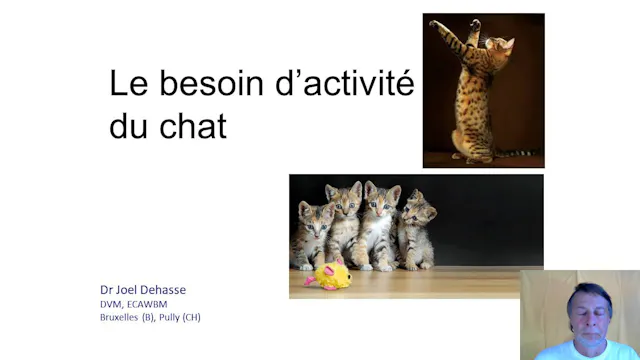 08 activité