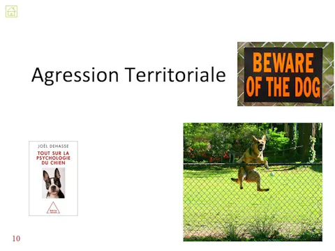 fccc4.13 - Agression territoriale