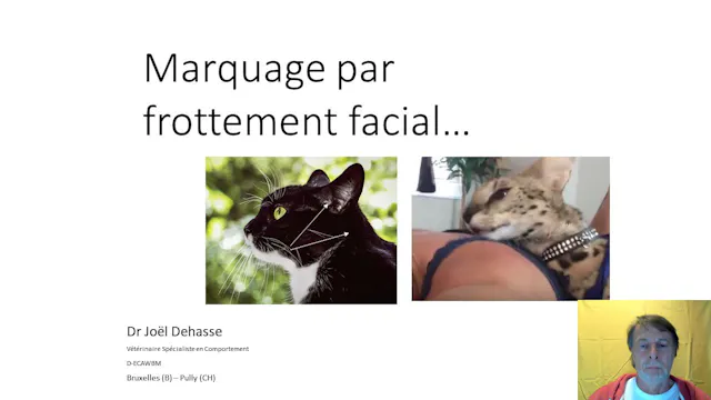 05 frottementfacial