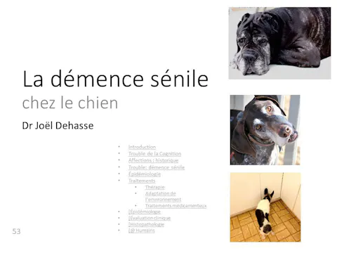 fccc5.04 - démence sénile