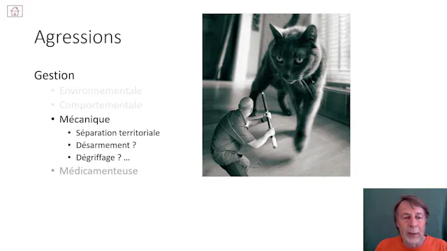 33 agression-gestion