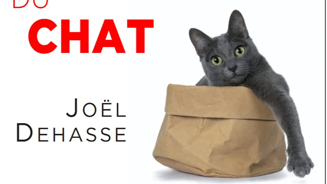 Tout se le comportement du chat (2021)