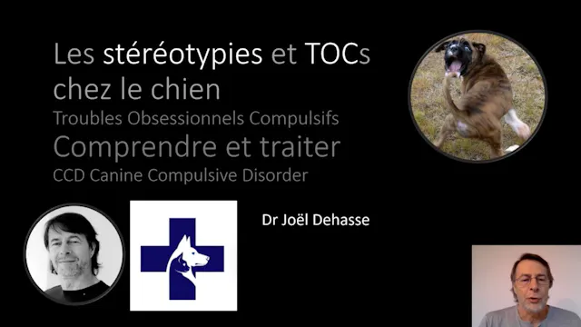 Stereotypies-TOC 2025 (1h36)
