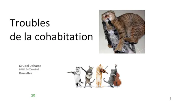 43 trouble cohabitation