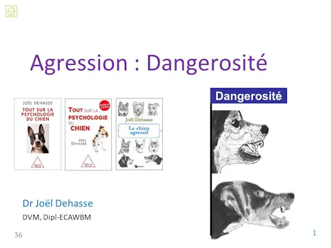 fccc4.02 - Agression - dangerosité
