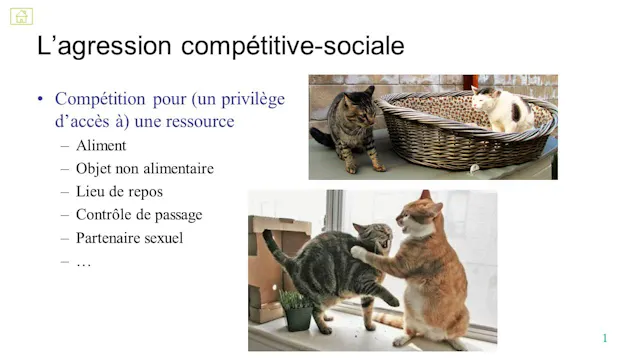 23 agression compétitive