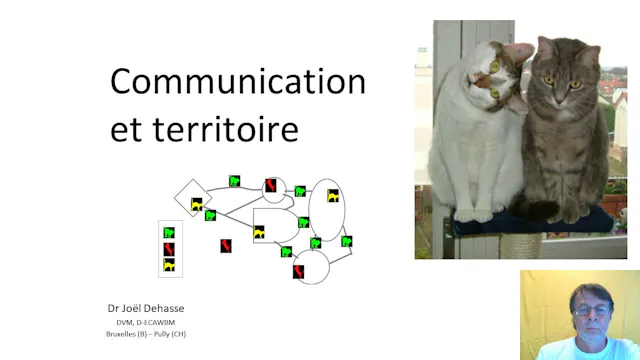 04 communication et territoire