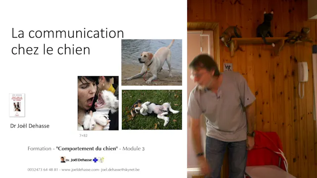 09 La communication chez le chien