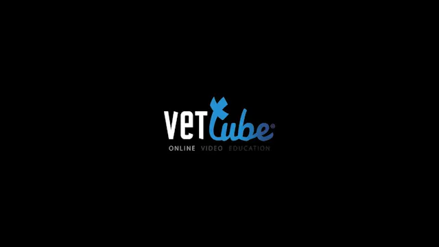 2 Trailer