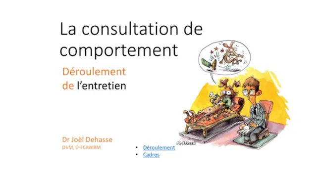 FCCC-Consultations (2020)