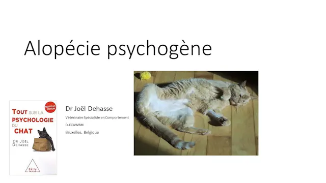 53 alopécie psychogène