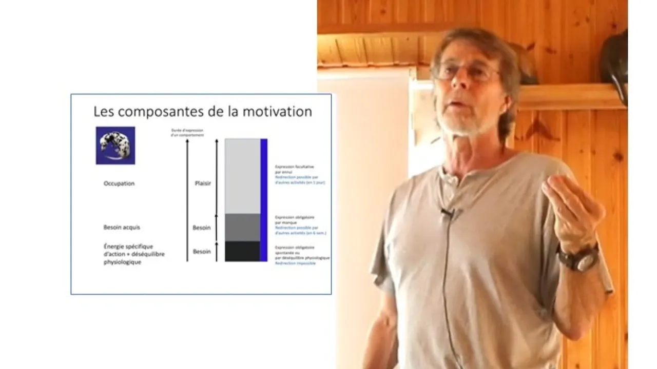 FCCC1-PMC-Activité-Apprentissage (2020)