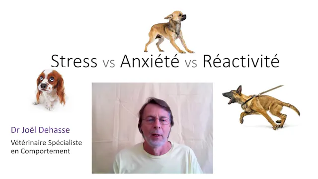stress anxiete réactivité (version 104min)