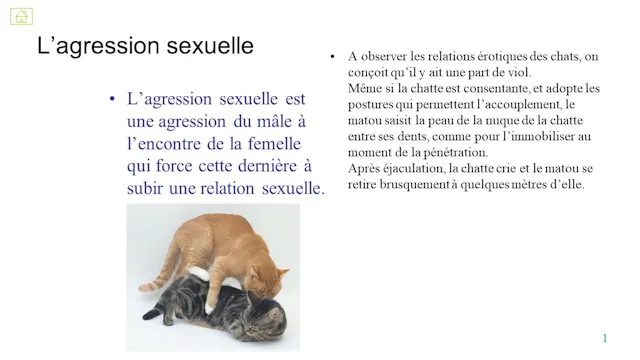 22 agression sexuelle