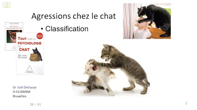 18 agression classification sommaire