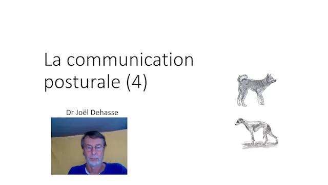 13 Com.posturale (vid) 04