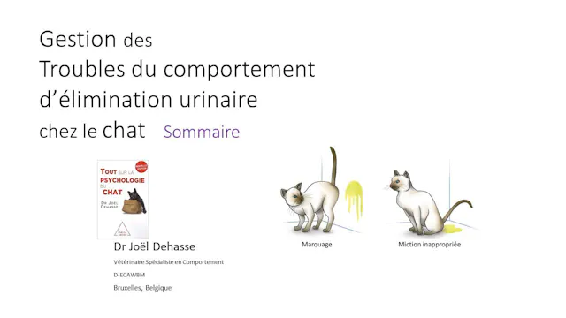 46 troubles urinaires sommaire