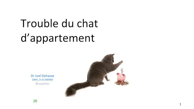 42 trouble chat d'appartement