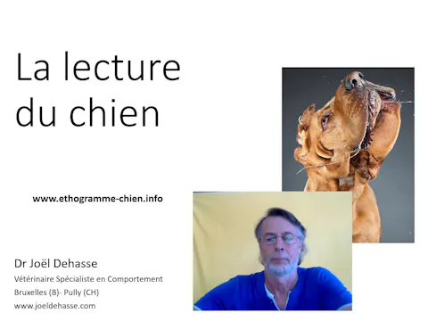 01 lecture du chien