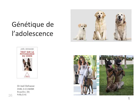 FCCC-3.10-génétique de l'adolescence