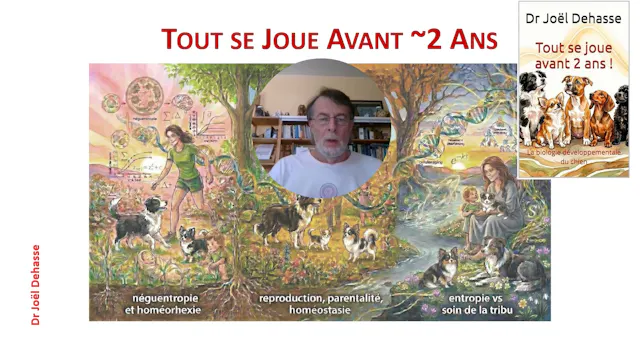 Tout se joue avant 2 ans : bande annonce