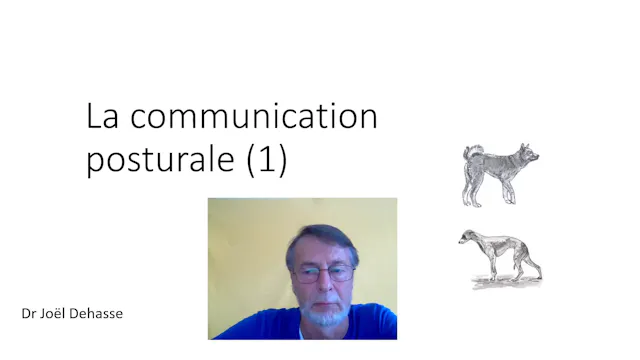10 Com.posturale (vid) 01