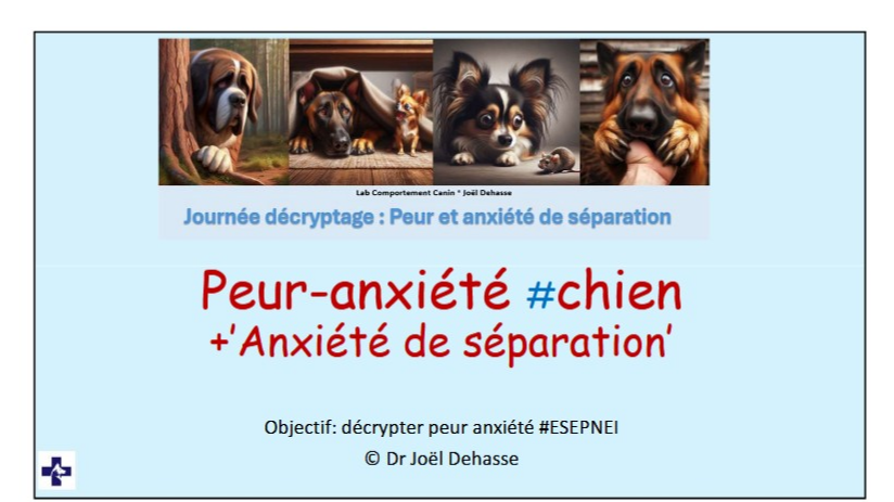 Peur et anxiété (de séparation) 2025-2026