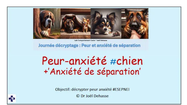 Peur et anxiété (de séparation) 2025-2026