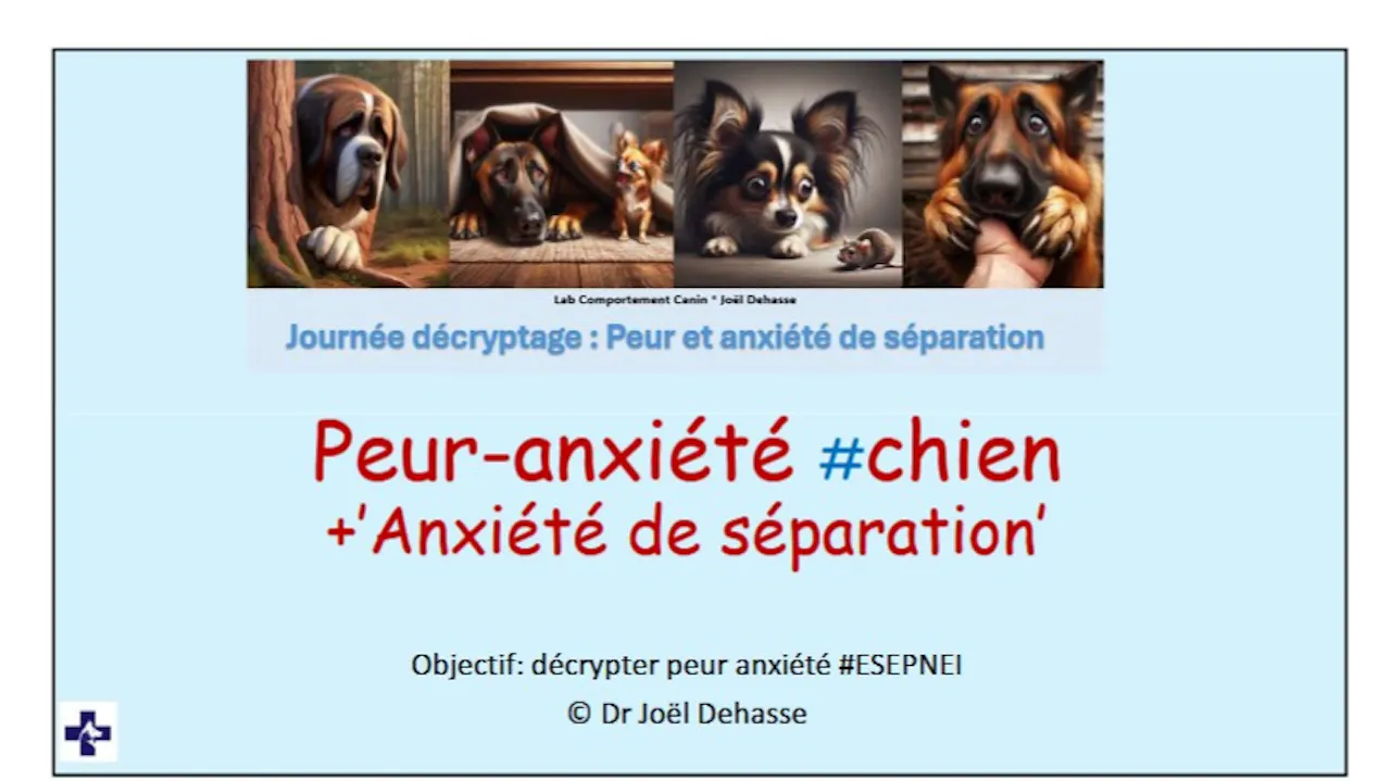 Peur et anxiété (de séparation) 2025-2026