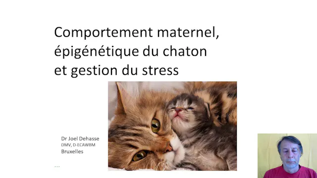 12 épigénétique du chaton
