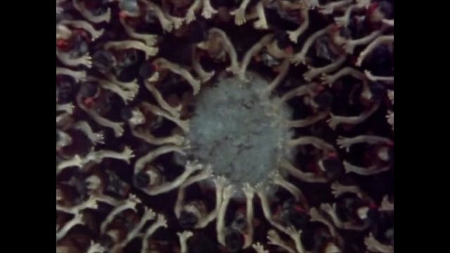 Ring of Fire - Episode 1