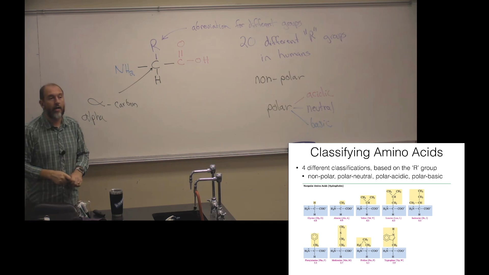 Ch. 16 (Part 1) - Amino Acids, Proteins, and Enzymes