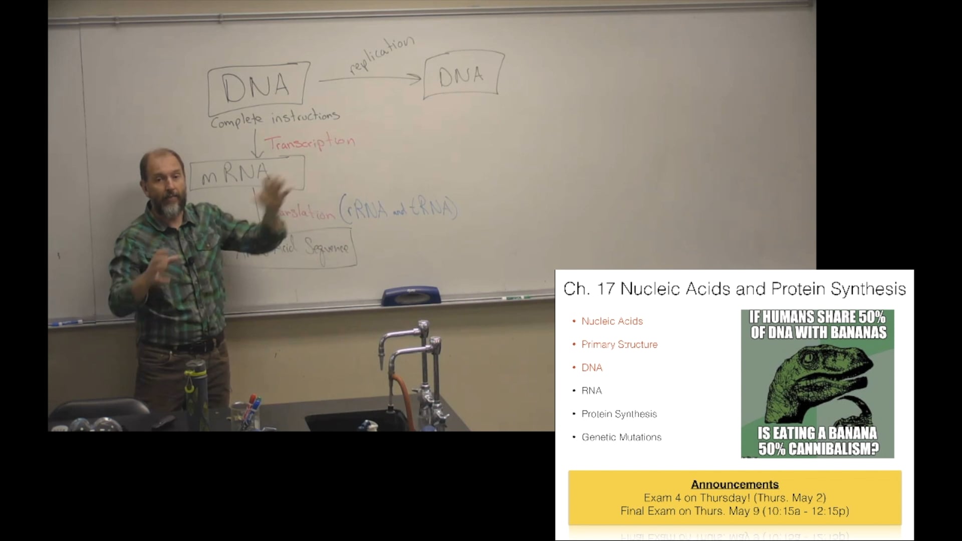 Ch. 17 (Part 2) - Nucleic Acids and Protein Synthesis