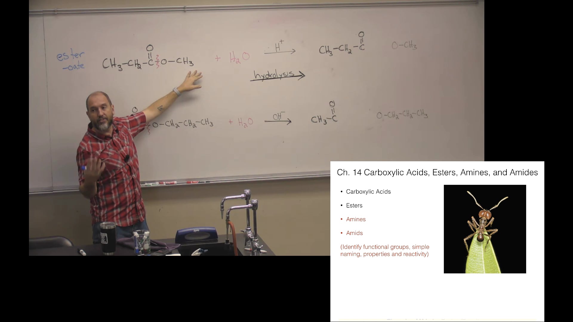 Ch. 14 (Part 2) - Carboxylic Acids, Esters, Amines, and Amides