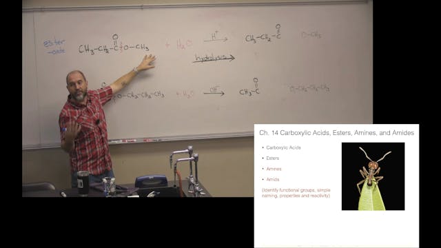 Ch. 14 (Part 2) - Carboxylic Acids, E...