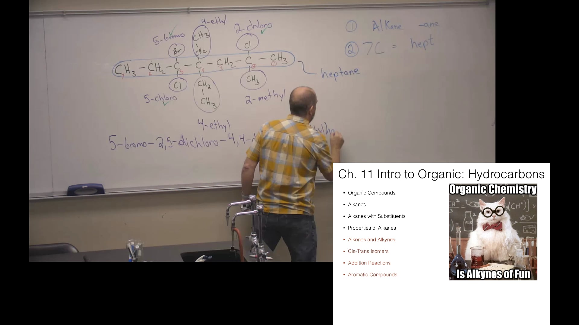 Ch. 11 (Part 2) - Introduction to Organic Chemistry: Hydrocarbons