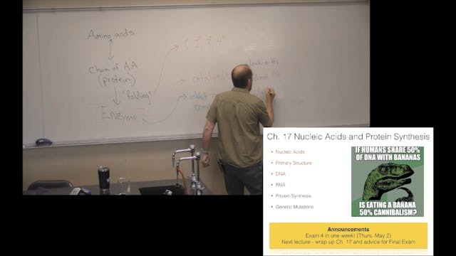 Ch. 17 (Part 1) - Nucleic Acids and P...