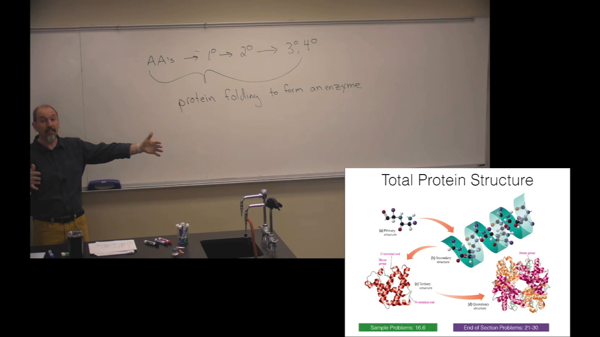 Ch. 16 (Part 2) - Amino Acids, Proteins, and Enzymes