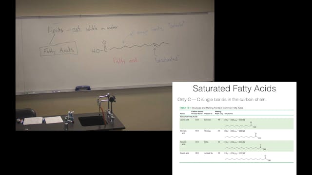 Ch. 15 (Part 1) - Lipids