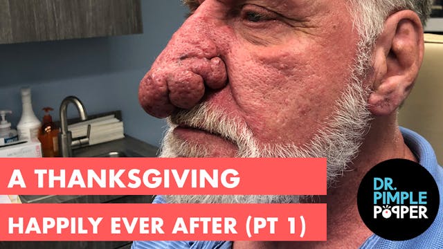 A Thanksgiving Happily Ever After: Pa...