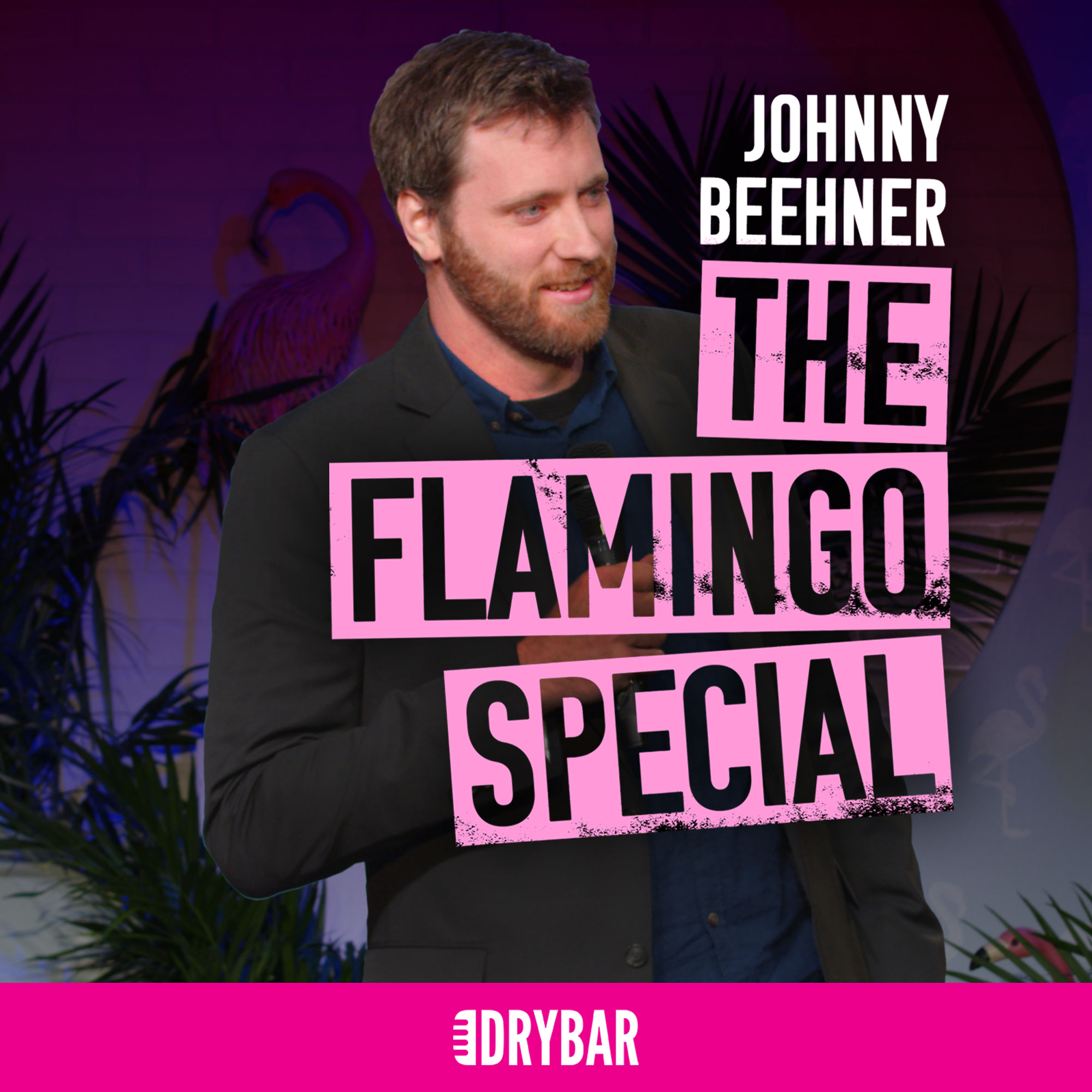 Johnny Beehner: The Flamingo Special