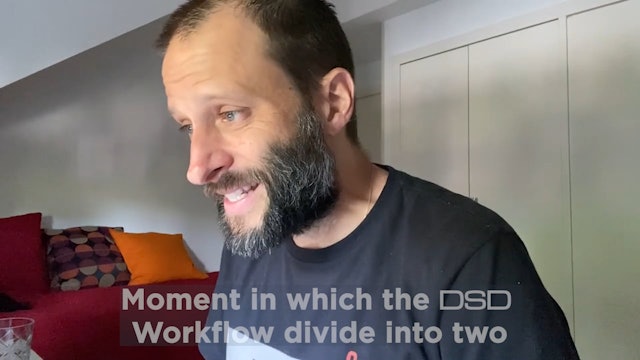 Moment in which the DSD Workflow divide into two