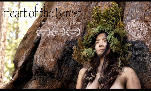 HEART OF THE FOREST short film, react...